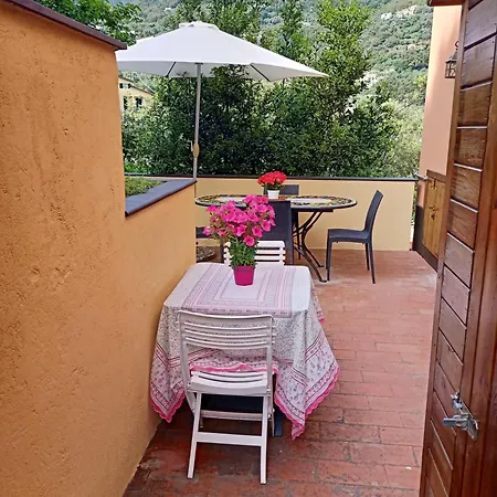 L' Eden Di Erasmo Bonassola