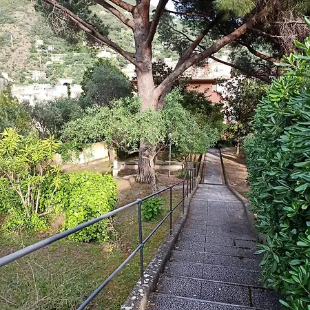 L' Eden Di Erasmo *